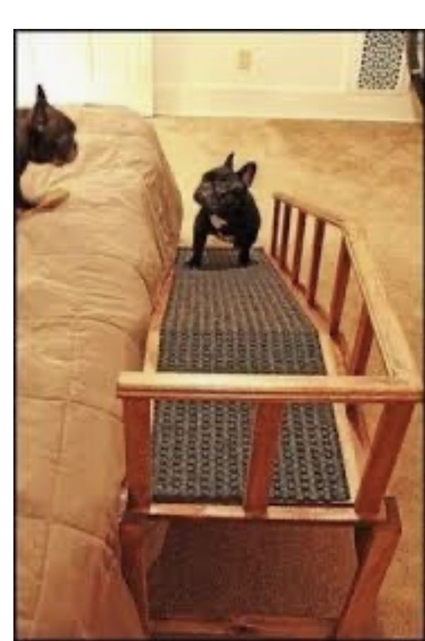 extra large dog ramp