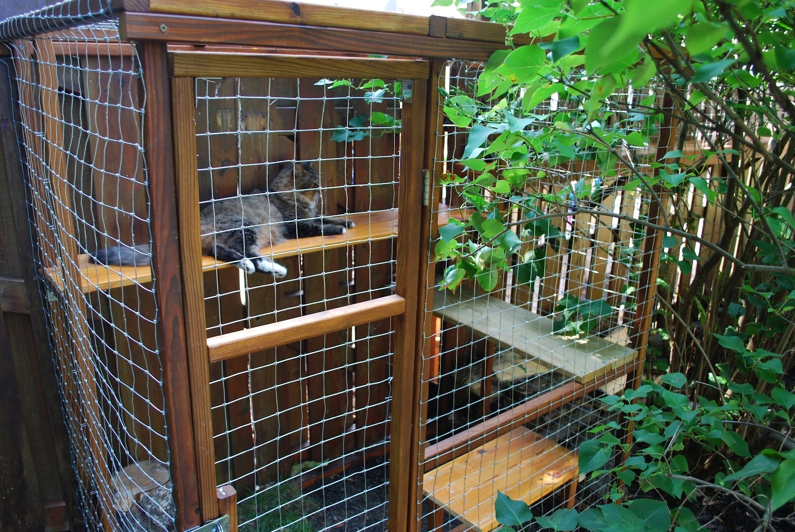 Idea outdoor cat enclosure jpg