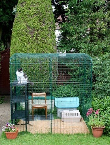 Outdoor walk in cat run enclosure 1