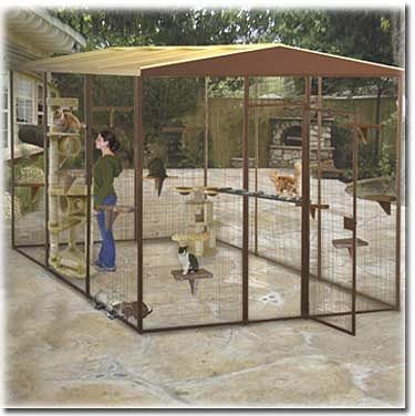Outside cat enclosure