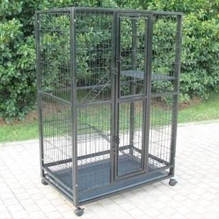 Used outdoor cat hot sale enclosures for sale