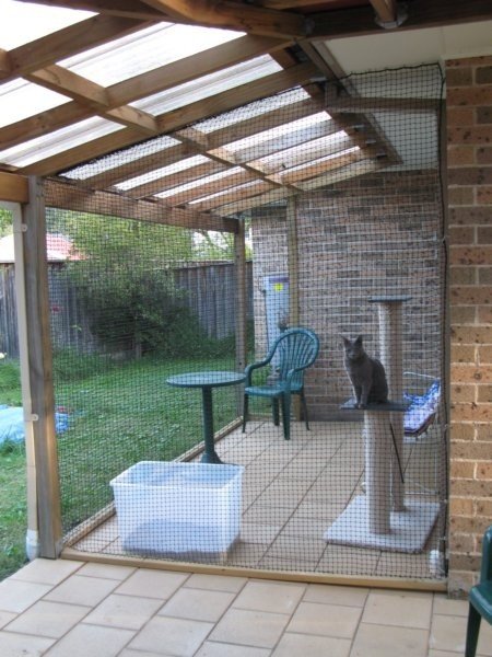 Cat patios for clearance sale