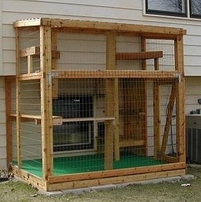 Outdoor Cat Enclosures For Sale - Foter