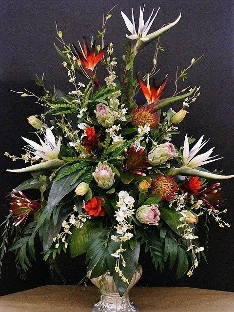 Birds of paradise and proteas are the main attraction in