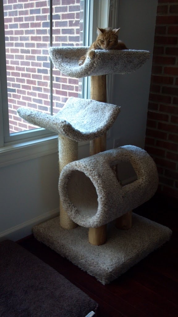 Cat condos for large cats two adult cats to good