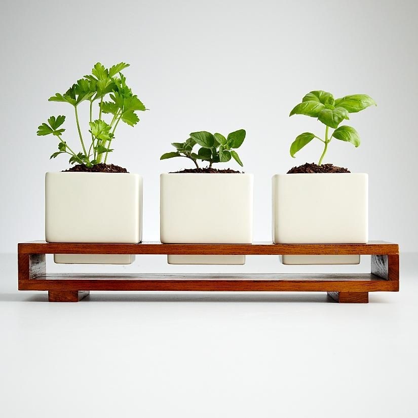 Small indoor planters 2