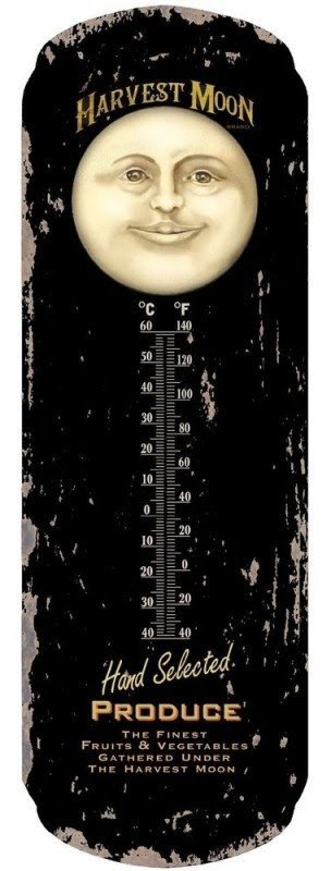 Outdoor Wall Thermometers Ideas On Foter