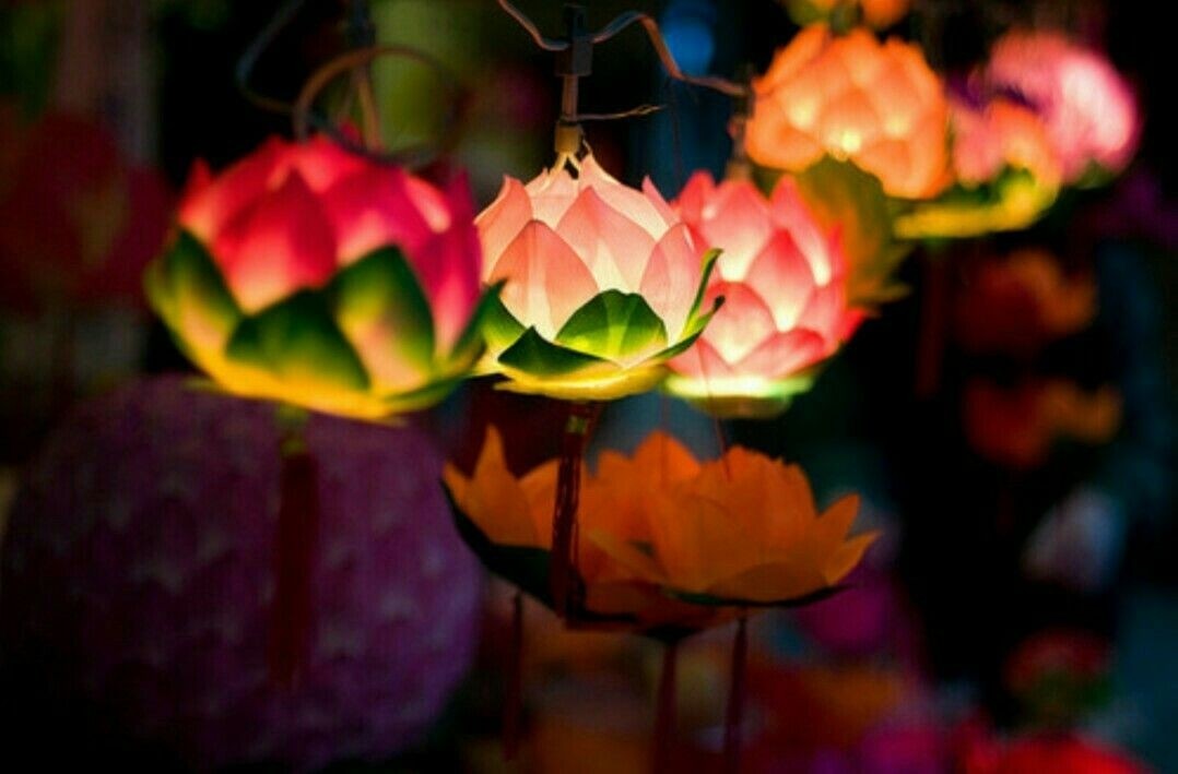 Lotus Flower Lamp | Foter