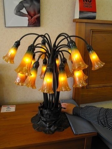 tulip lamp globes