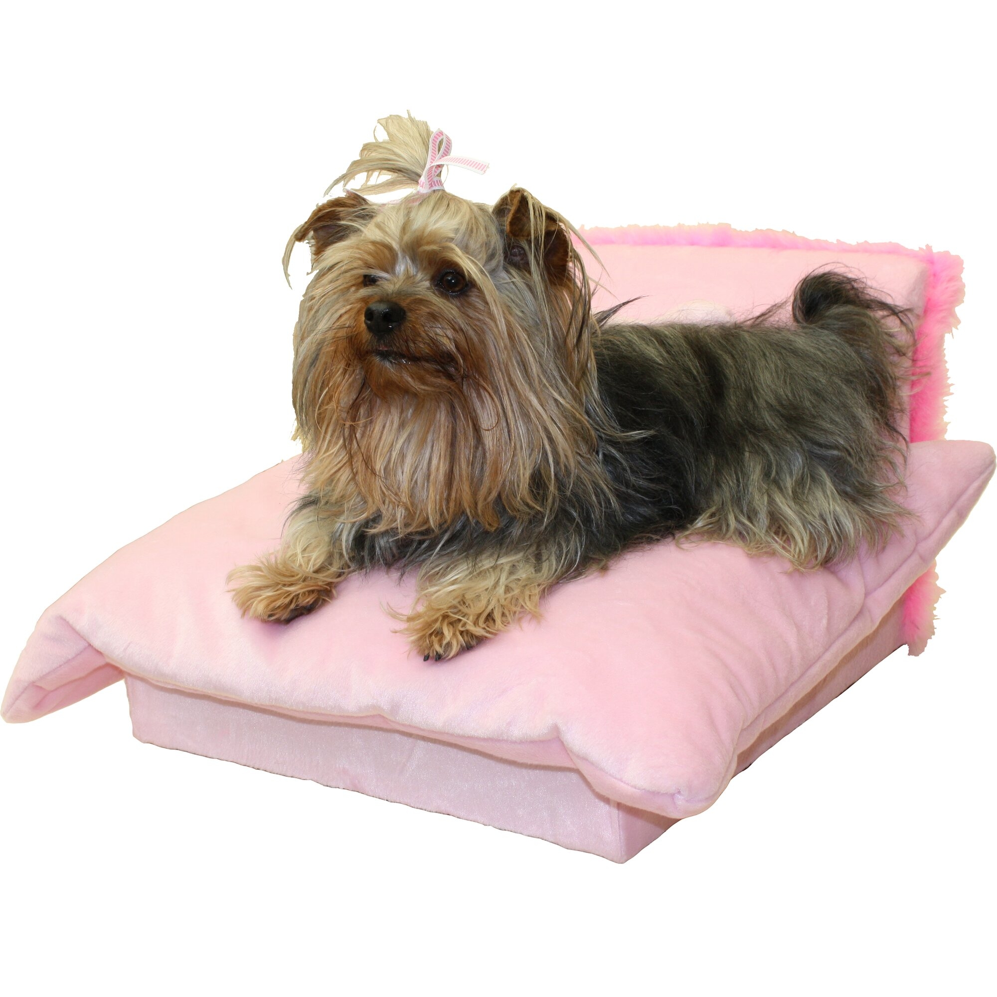 Dog beds that look like couches