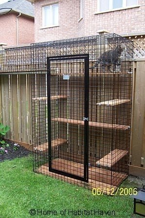 Indoor Cat Cages - Foter