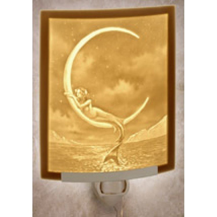 Porcelain Garden Lithophane Lamps - Foter