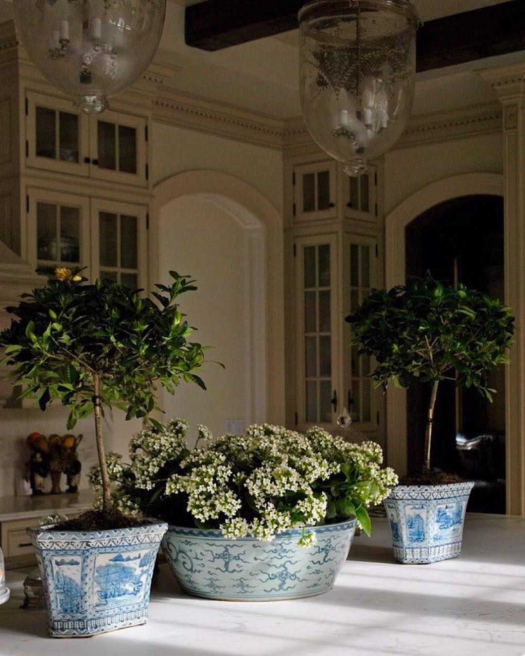 Large indoor plant pots 20