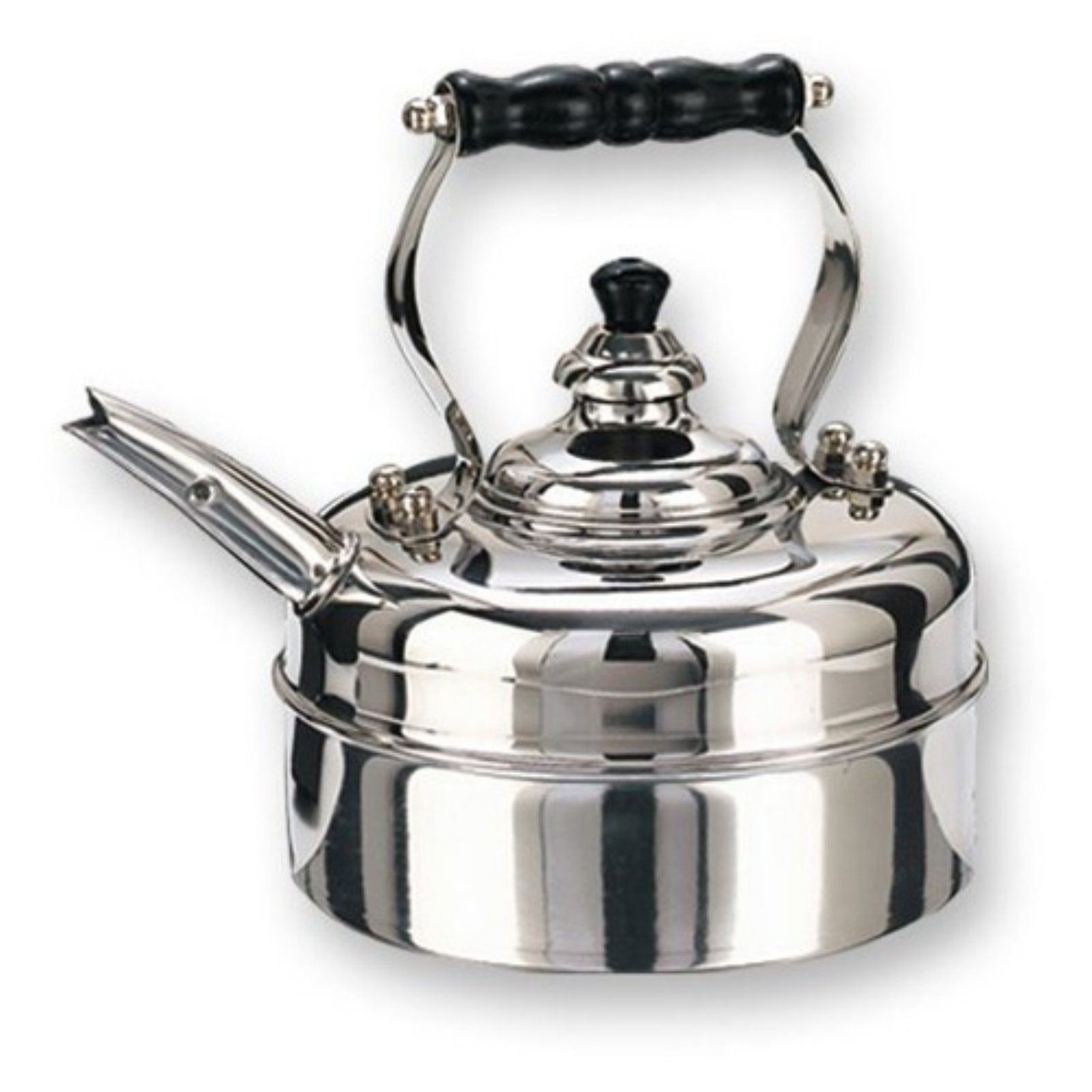 Whistling tea kettle has both this handsome tea kettle is