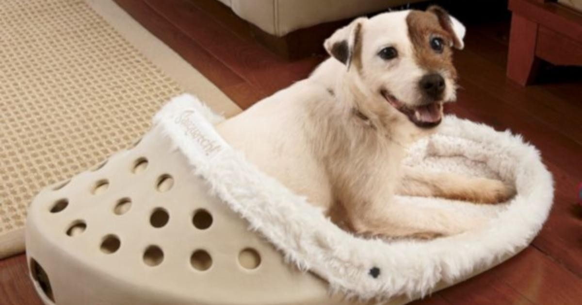 Its the perfect luxury pet bed with panache already loved