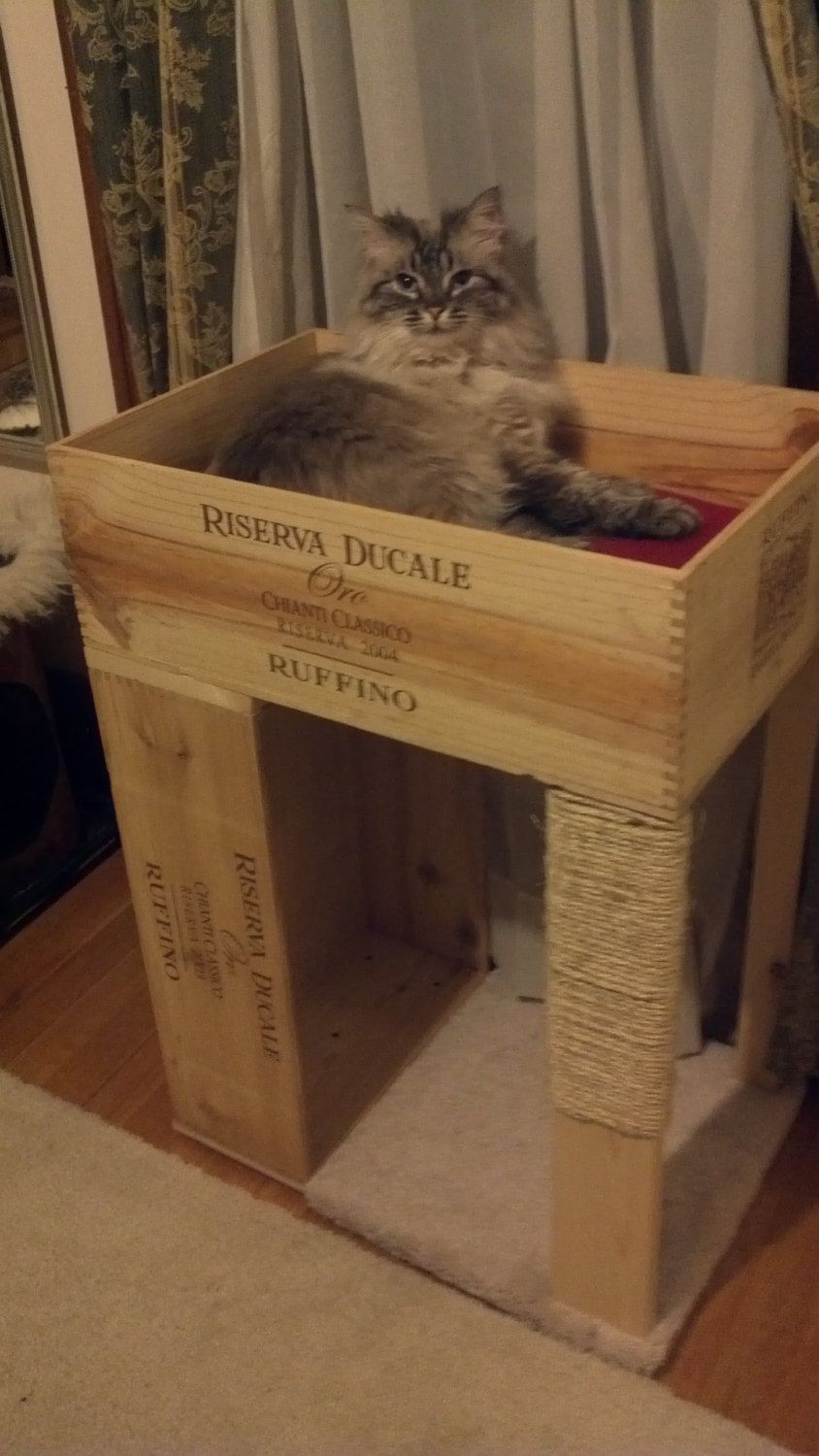 1 Bed Wine Crate Cat Condo With Cat