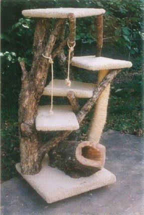 Tree Cat Condo - Ideas on Foter
