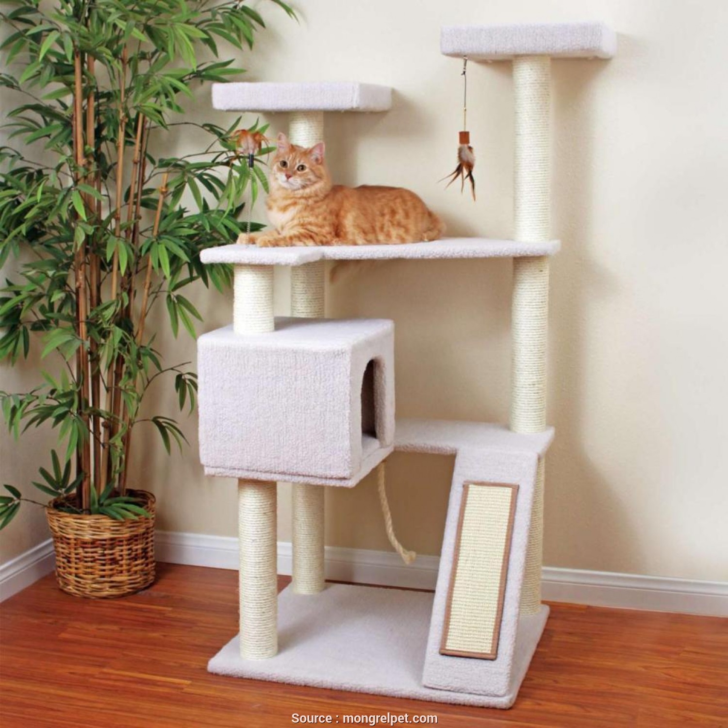 Tree Cat Condo - Foter