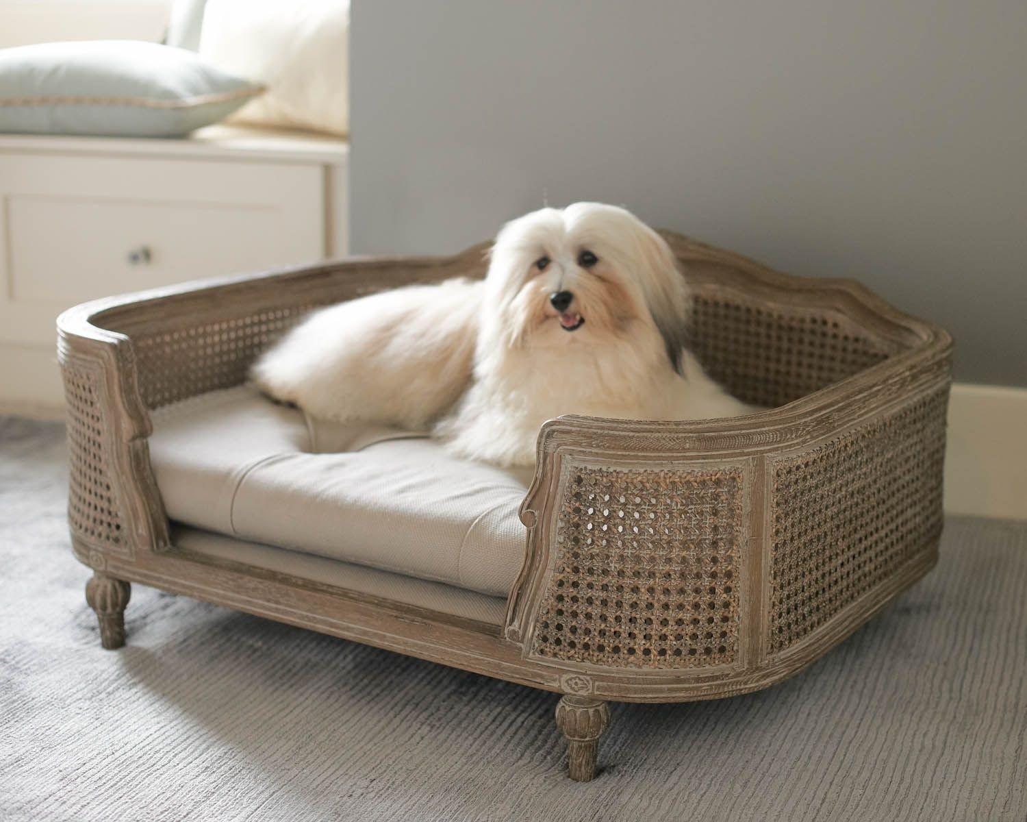Dog furniture beds 2