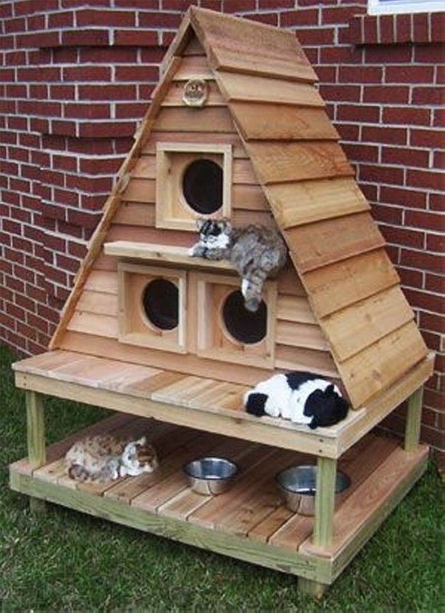Outdoor cat houses it might be a good way to