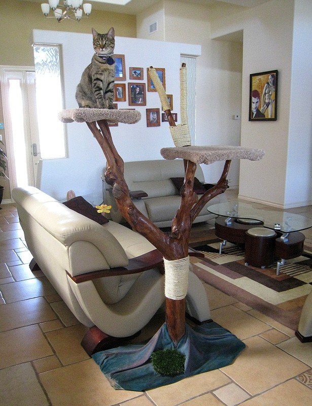 Tree Cat Condo - Ideas on Foter