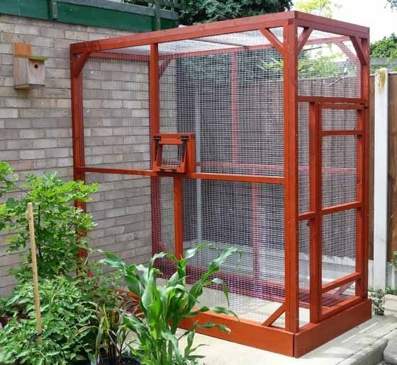 Cat cages enclosures 19