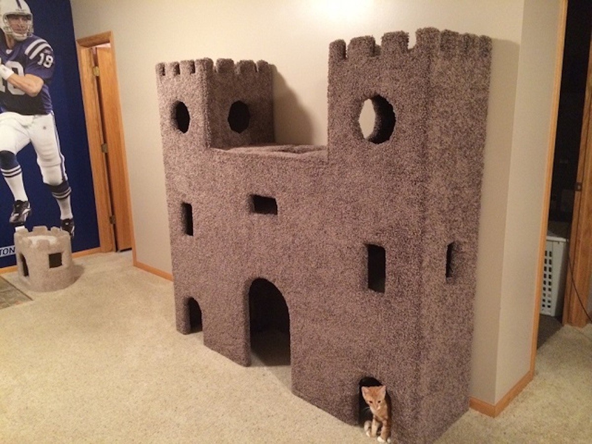 Cat house cardboard box