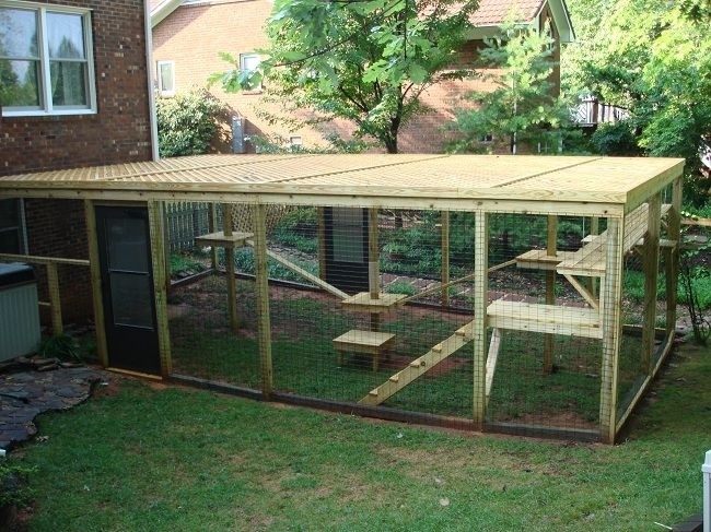 indoor to outdoor cat enclosures