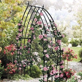 Black iron scrolled medallion cathedral arbor 124 95