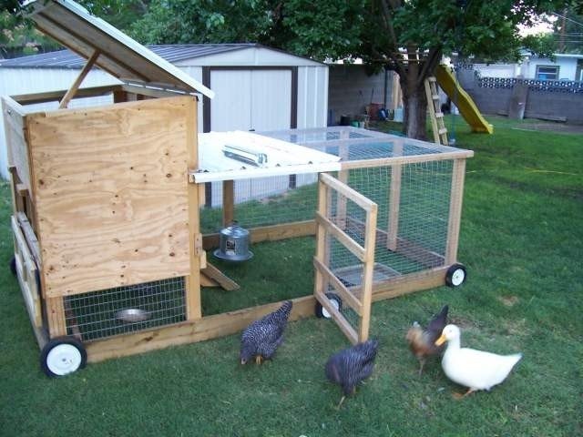 Chicken tractor with wheels