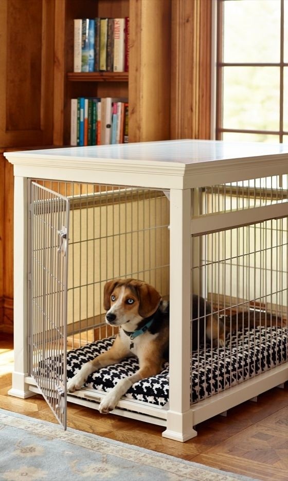 Dog crates as furniture
