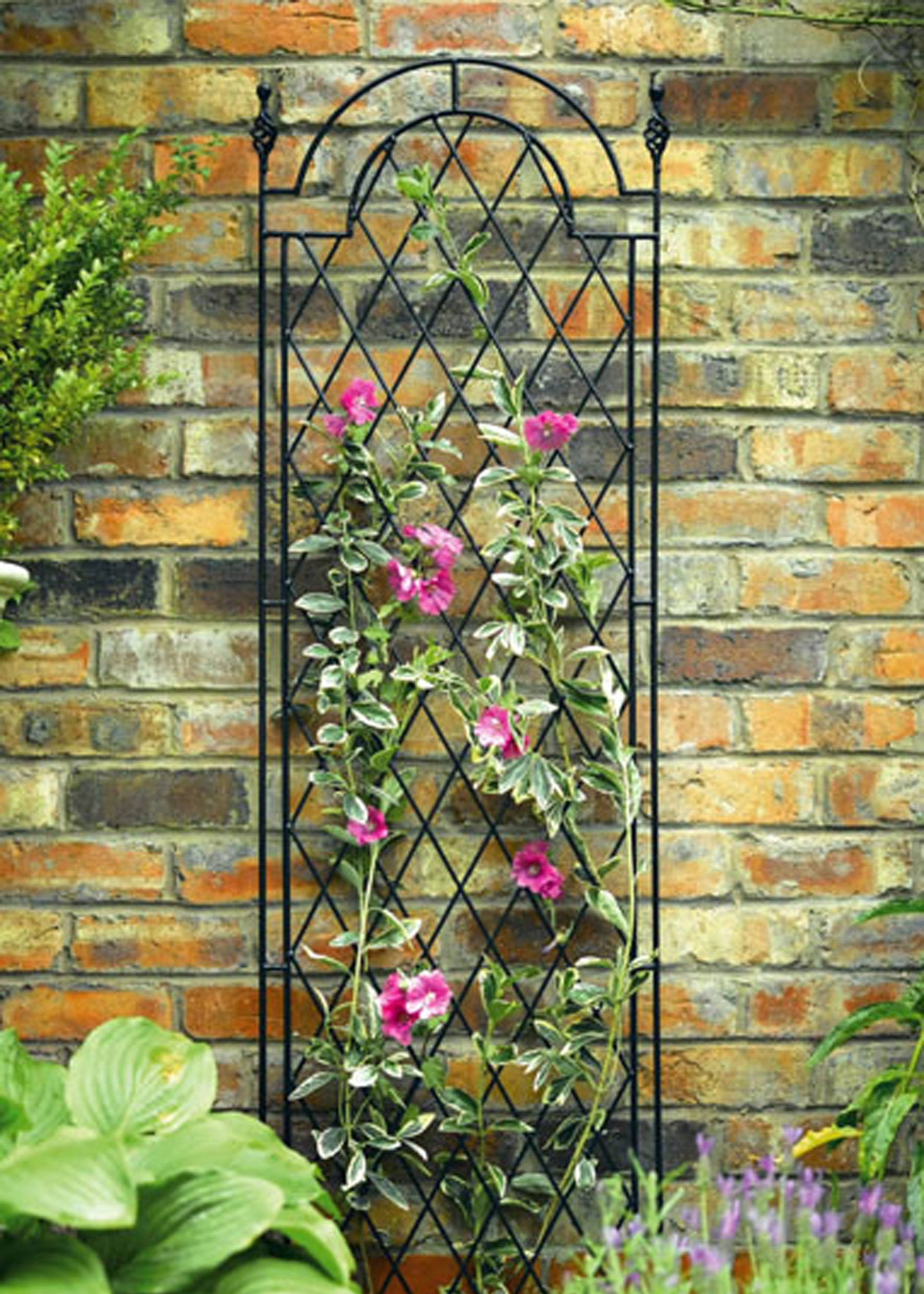 Metal Garden Arch Trellis - Ideas on Foter