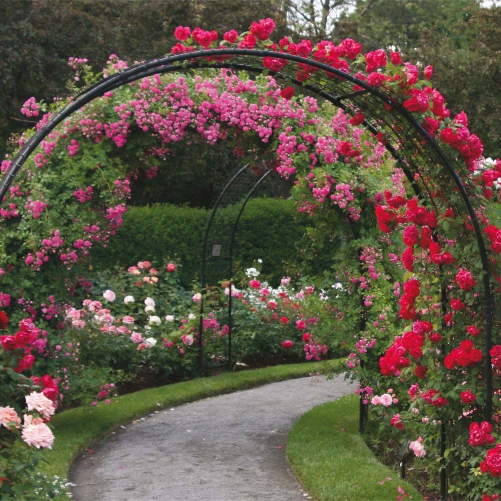 Large Size Steel Garden Arch Rose Arbor Climbing Plant Grape Support ...