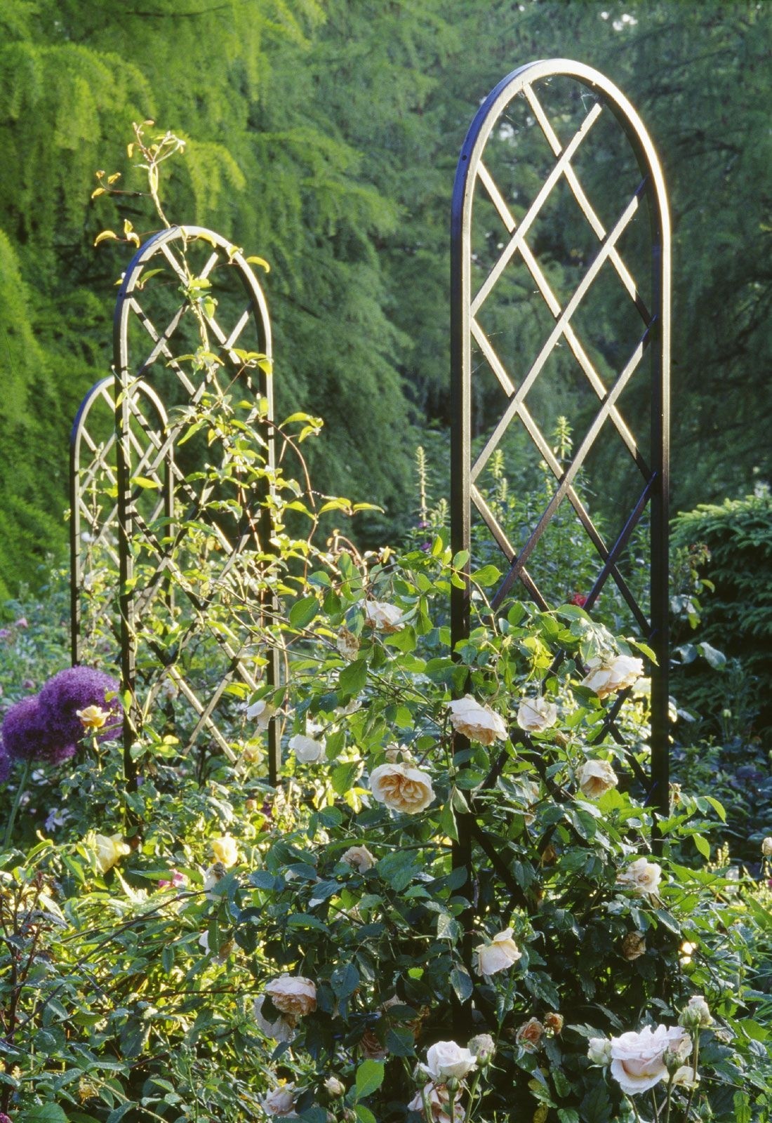 Metal Garden Arch Trellis - Ideas on Foter