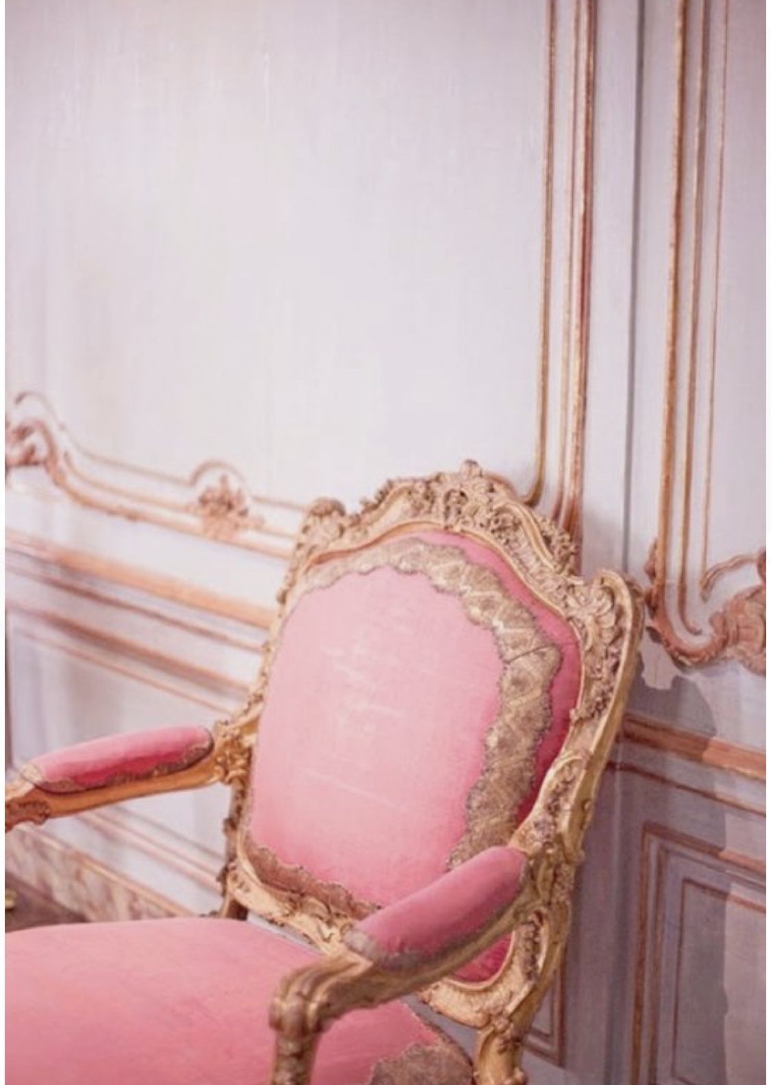 Rococo Chair Ideas On Foter