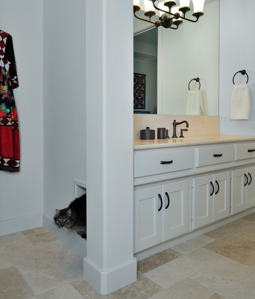 litter box in bathroom cabinet