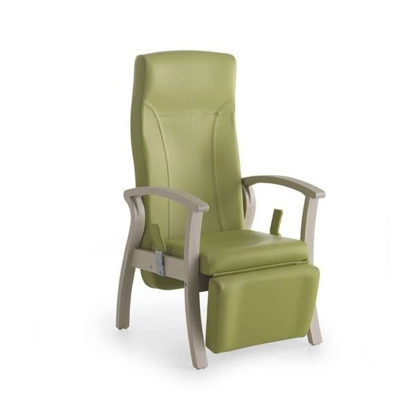 50+ Armchairs for Elderly & Guide How to Choose The Best - Foter