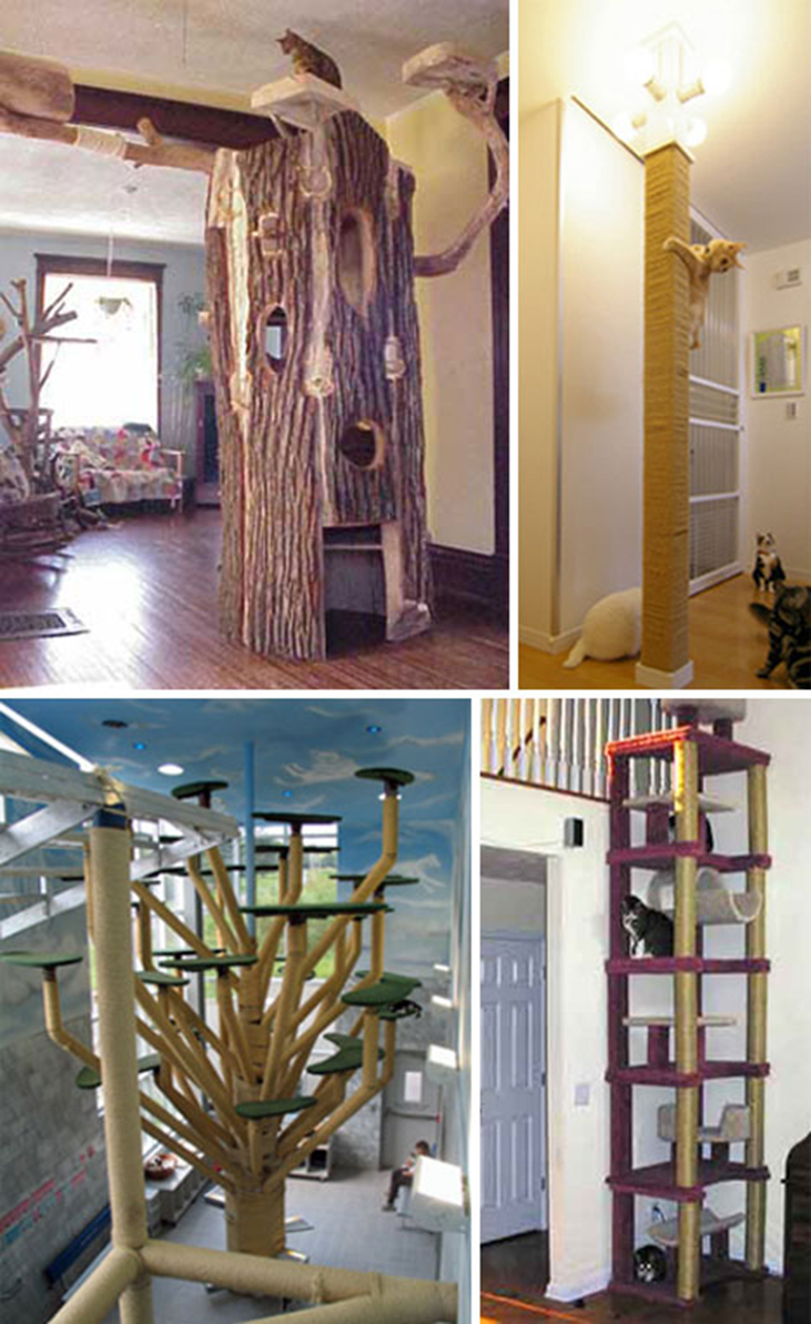 Large Cat Tree Furniture Cat Condos Ideas on Foter