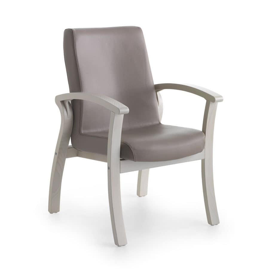 50+ Armchairs for Elderly & Guide How to Choose The Best Foter