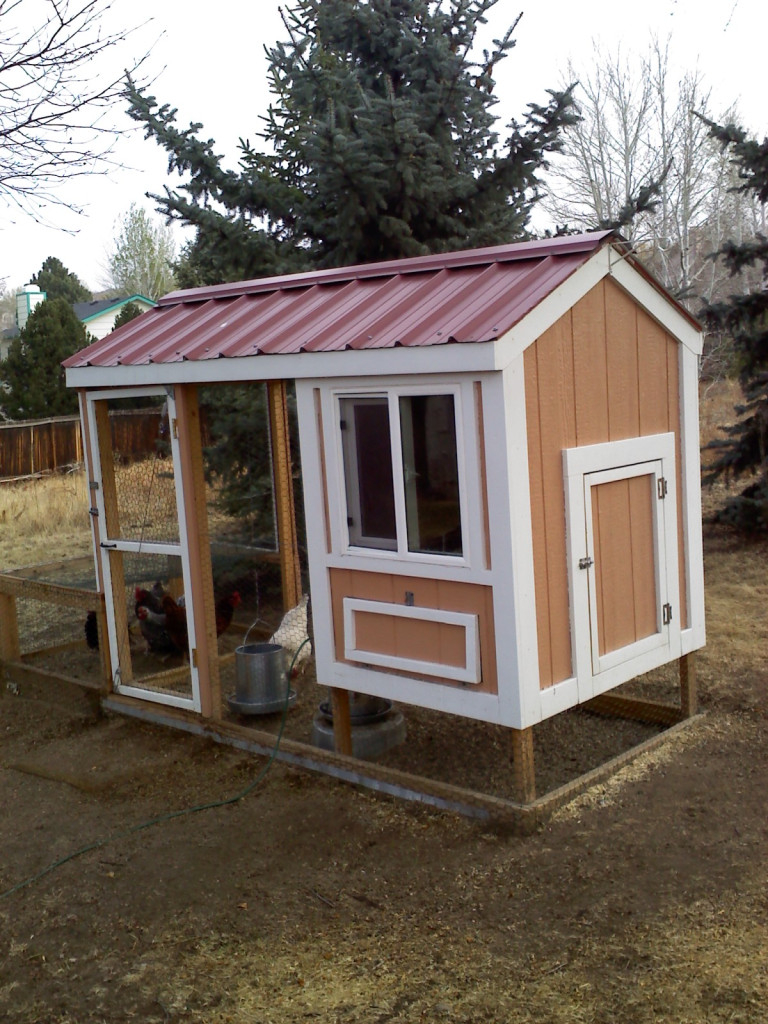 Chicken coops for sale 12