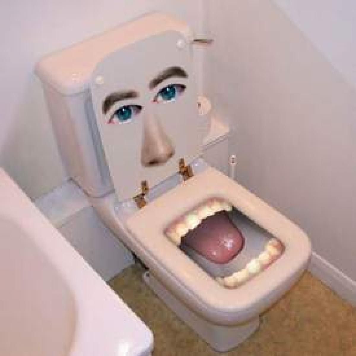 Decorative toilet seats 13