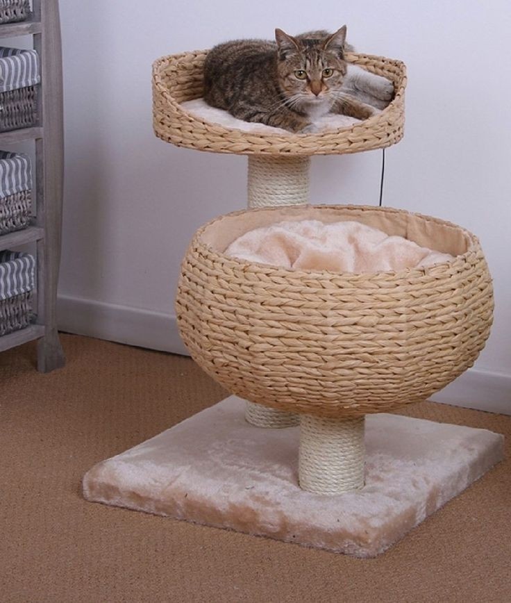 Cat condos for large cats