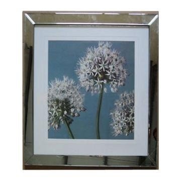 Large Wall Mirrored Picture Frames - Foter