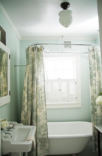 French toile shower curtain