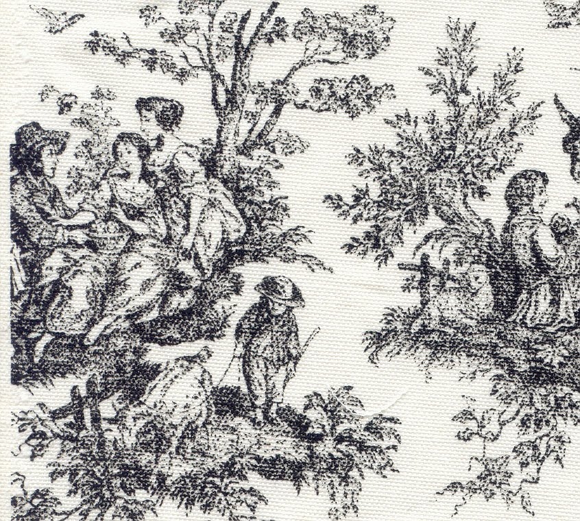 Toile Shower Curtain Ideas On Foter