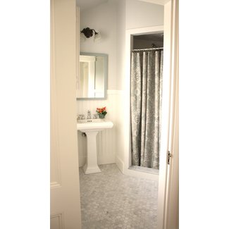 shower curtain for window in shower