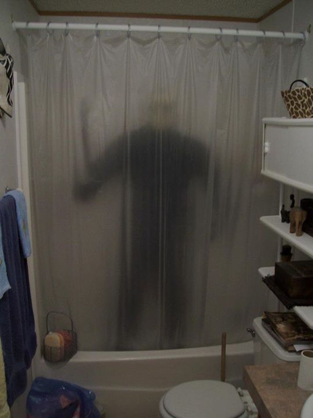 Sheer Shower Curtain Ideas On Foter