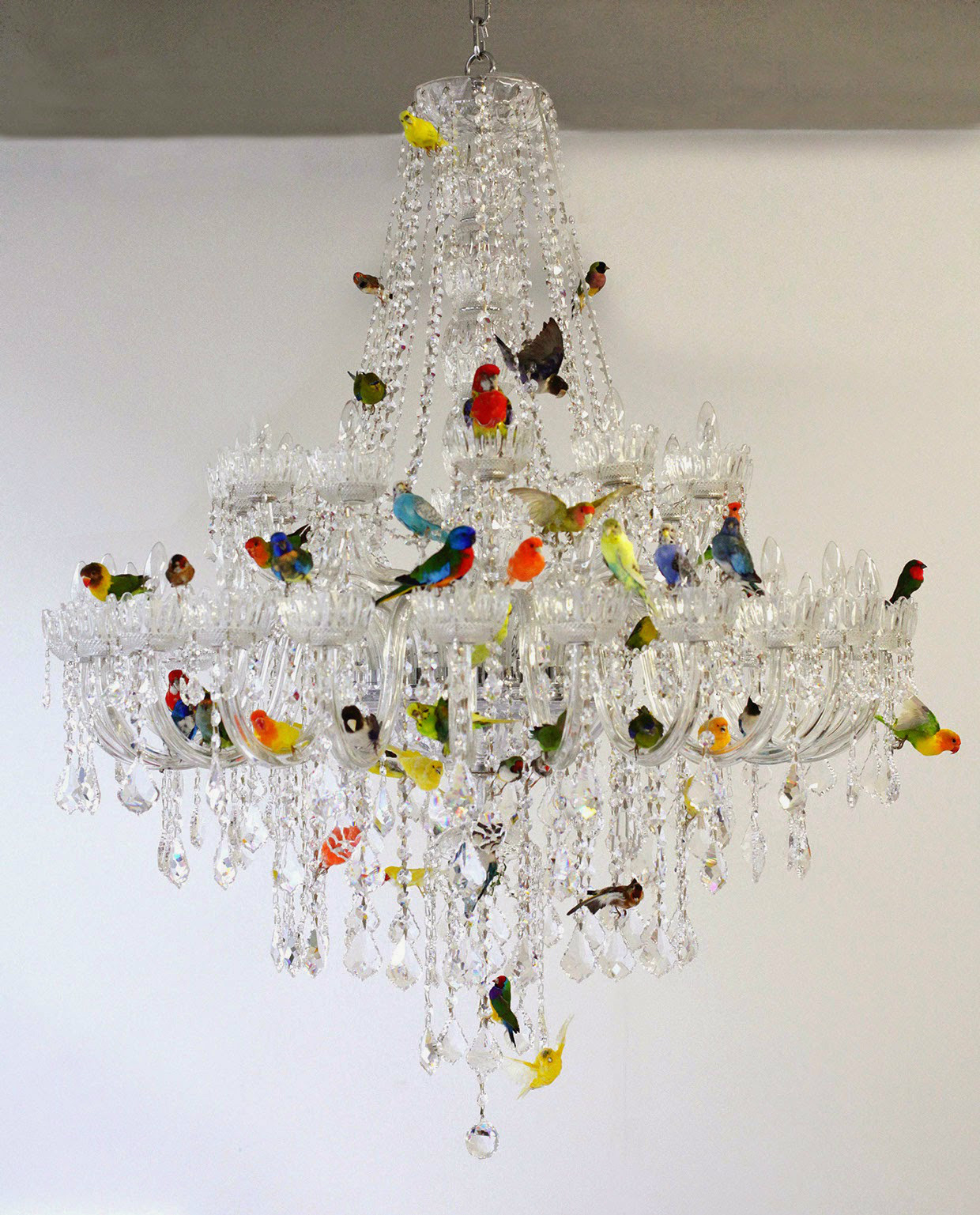 Birds nest chandelier