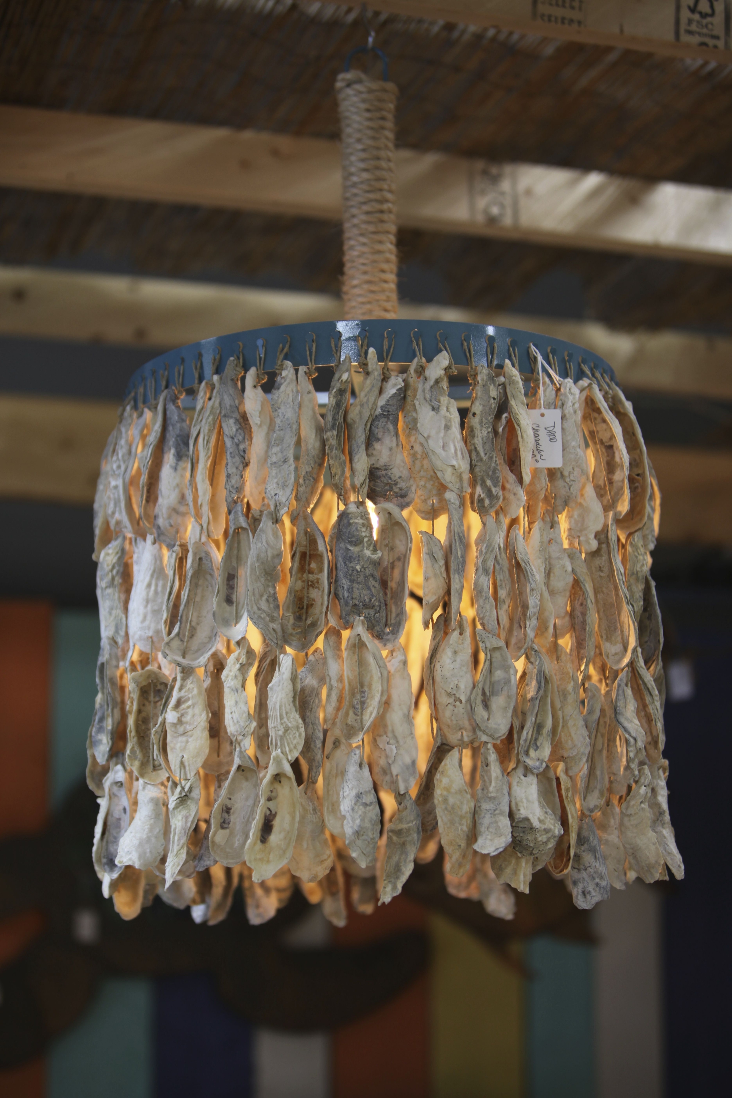 Seashell lighting chandeliers