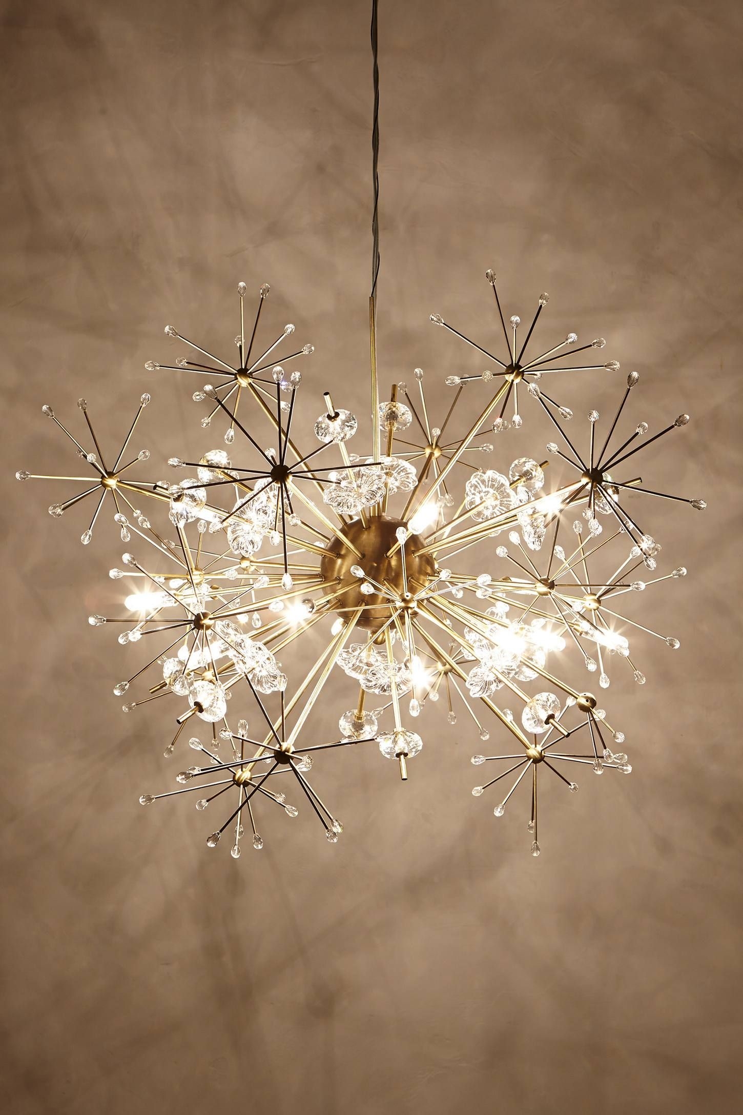 Whimsical chandelier light 41
